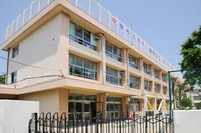 練馬区立 南が丘小学校の画像