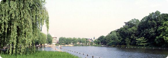 石神井公園の画像