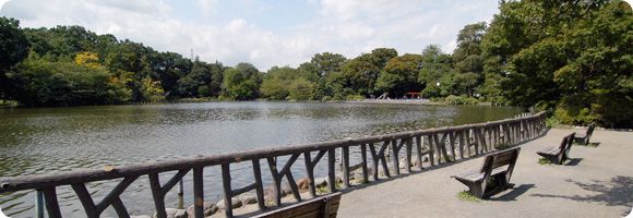 善福寺公園の画像