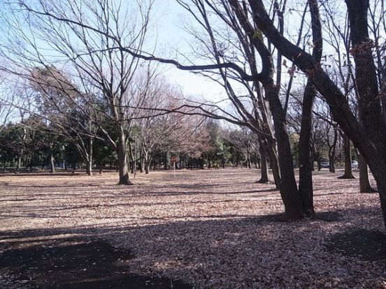 都立和田堀川公園の画像
