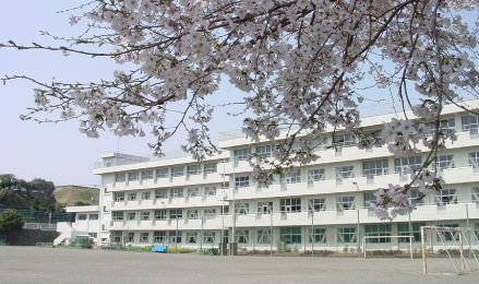 立野台小学校の画像