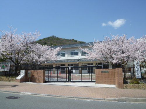 京都市立 桂坂小学校の画像