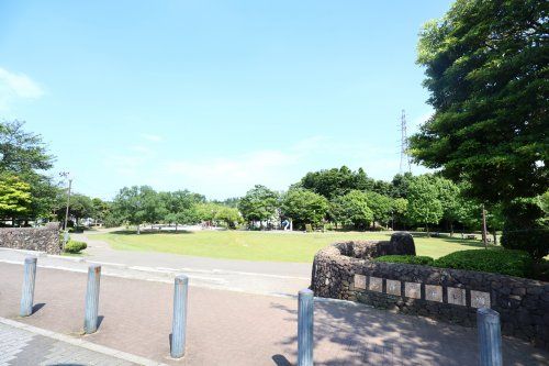 わらび近隣公園の画像