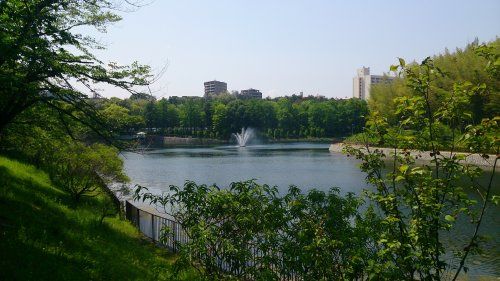 桃山公園の画像