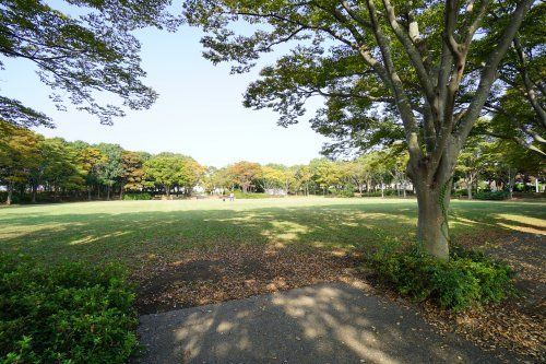 おゆみ野　なつのみち公園の画像