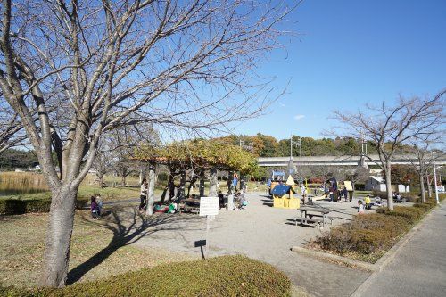 大百池公園の画像