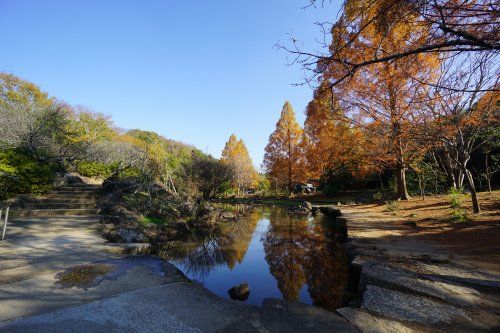泉谷公園の画像