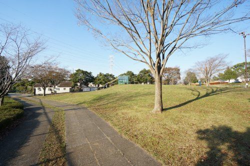 大岬公園の画像