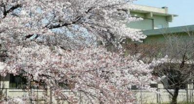 川口市立桜町小学校の画像