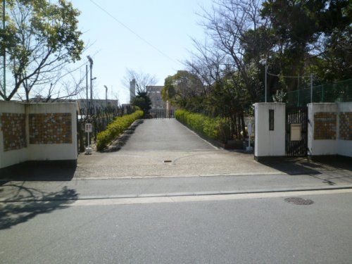 京都市立 新林小学校の画像
