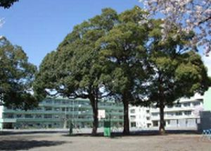 南毛利小学校の画像