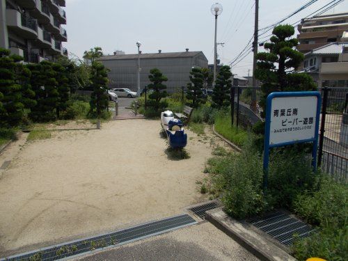 青葉丘南ビーバー遊園の画像