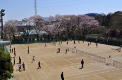 ひまわり公園テニスコートの画像