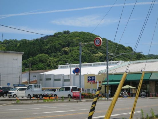 サニーマート土佐道路店東店の画像