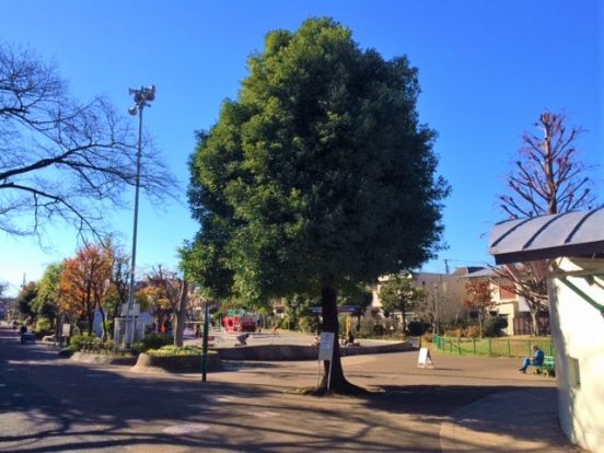 東調布公園の画像