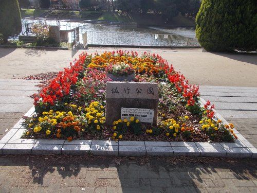 佐竹公園の画像