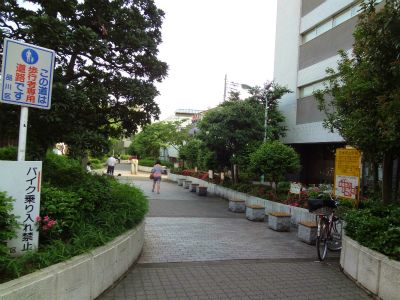 区立立会川公園の画像