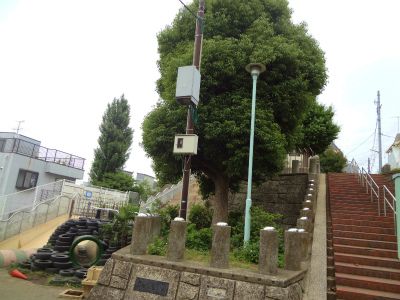 大田区立堂寺児童公園の画像