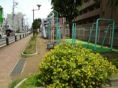 品川区立神明児童遊園の画像