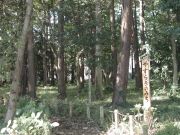宮沢ふれあい樹林の画像