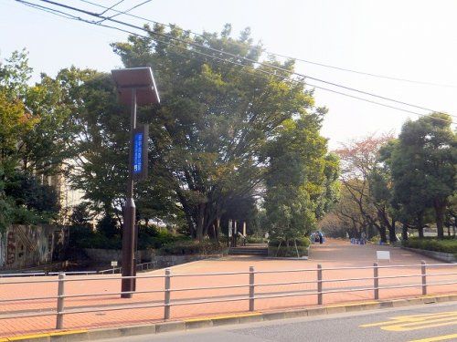 府中の森公園の画像