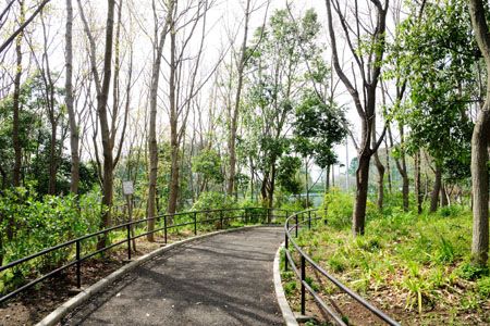 和泉町作右衛門公園の画像