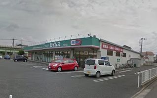 ドラッグセイムス作の口店の画像