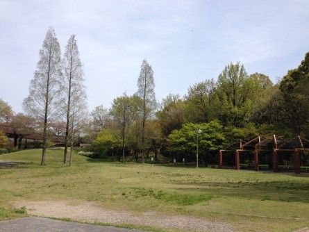 茶屋ケ坂公園の画像