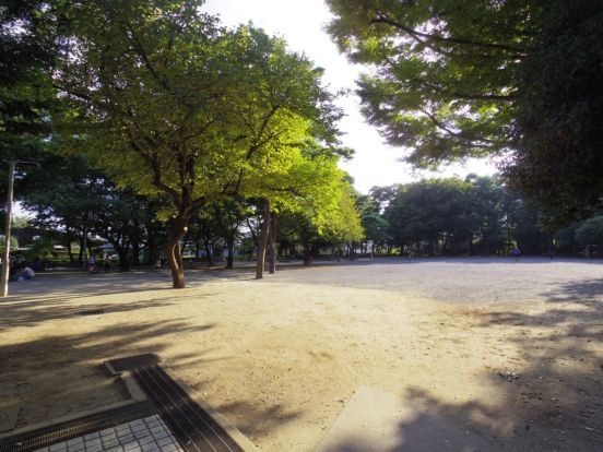 大泉公園の画像