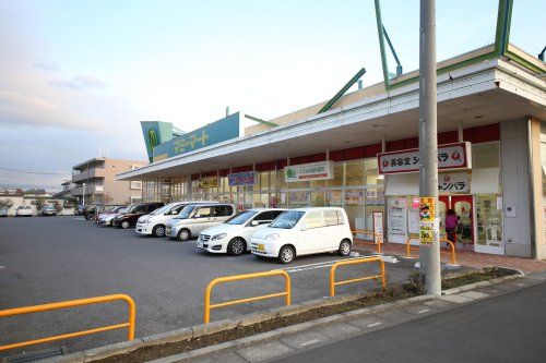 マミーマート　白岡店（白岡市千駄野）の画像