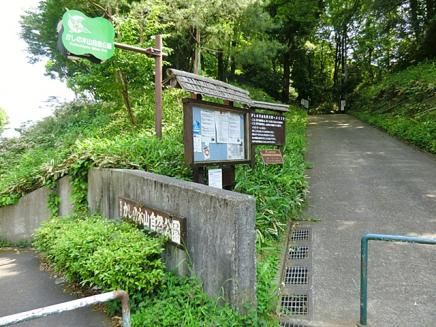 かしの木山自然公園の画像