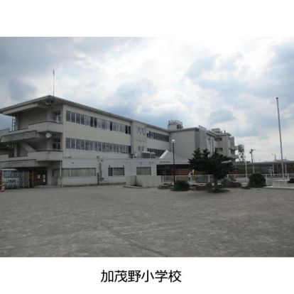 加茂野小学校の画像