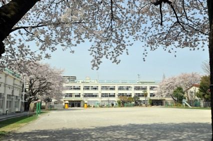 杉並区八成小学校の画像