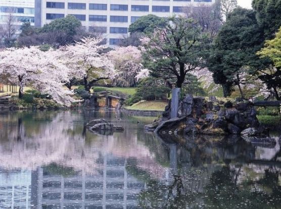 小石川後楽園の画像