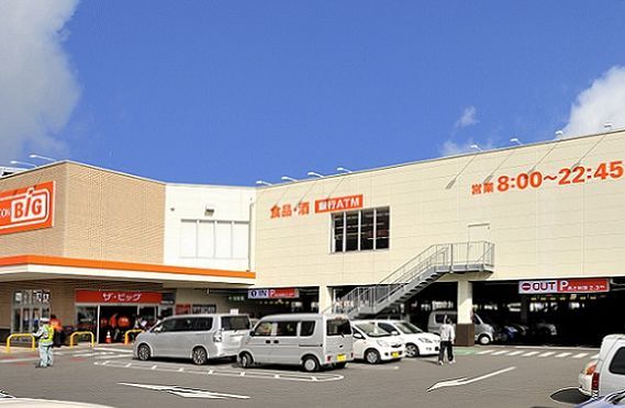 ザ・ビック 平塚真田店の画像