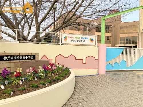 神戸市立多聞東小学校の画像