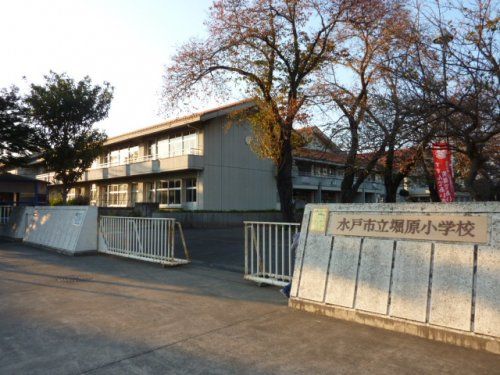 水戸市立堀原小学校の画像