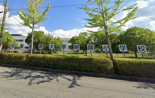 兵庫教育大学附属小学校の画像