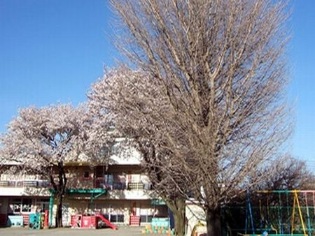 【伊勢原市】山王幼稚園の画像