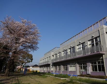 藤沢市立　善行小学校の画像