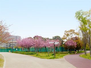  垂水健康公園軽スポーツ広場の画像