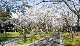 仙台堀川公園の画像