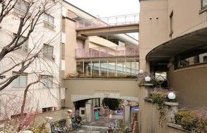 台東区立上野小学校の画像