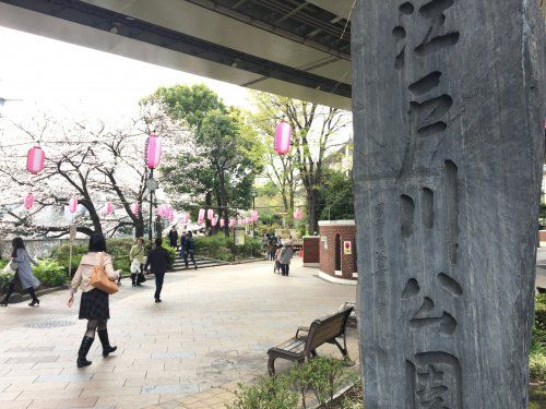 江戸川公園の画像