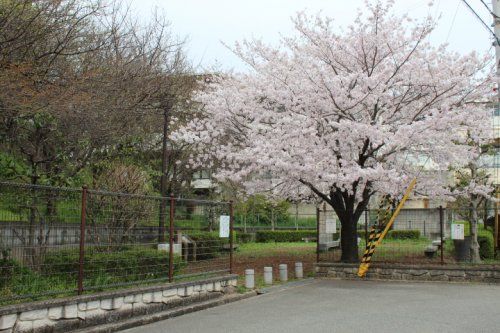 あびこ公園の画像