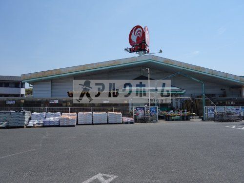 コメリ　河内河南店の画像