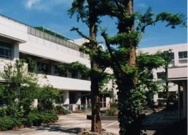 横浜市立　秋葉中学校の画像