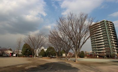  厚木中央公園の画像