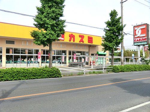 （株）カスミ 東越谷店の画像