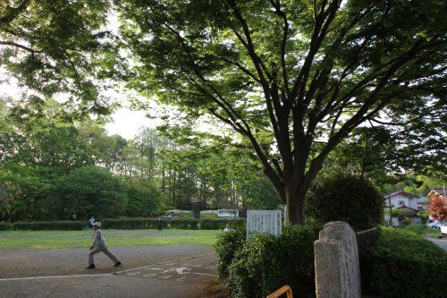 清水公園の画像